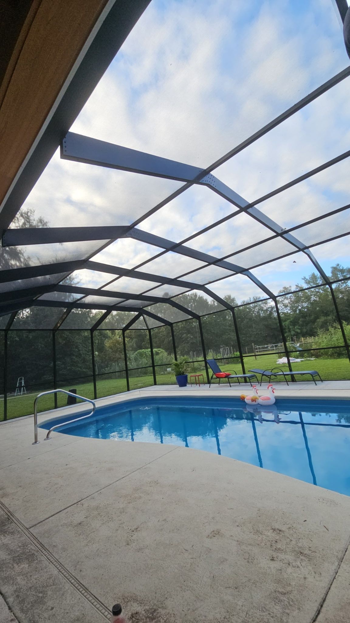 Inside a screened pool enclosure with a dark frame over a curved blue pool and concrete deck