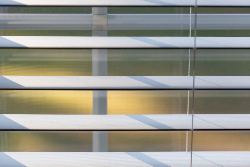 Close-up of white horizontal window blinds with daylight coming through